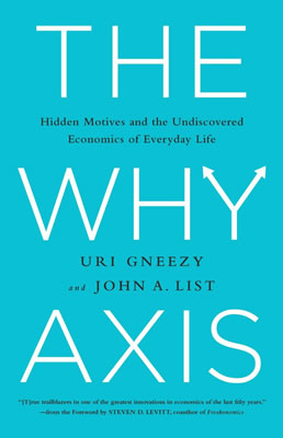 The Why Axis Book Cover